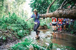 BIB: 
                            <button type="button" onclick="openModal(25514242)" class="btn btn-primary btn-sm float-right btn-popup" data-toggle="modal" data-target=".modal-high-quality">
                        <i class="fas fa-shopping-cart"></i> Add to Cart
                    </button>
                                            <button type="button" onclick="isThisMe(25514242, true)" class="btn btn-success btn-sm float-right btn-popup btn-isme hidden" data-toggle="tooltip" data-placement="bottom" title="นี่คือรูปของคุณใช่ไหม คลิกที่นี่เพื่อเอาเข้าอัลบั้ม">
                        <i class="fas fa-plus"></i> Add to album
                    </button>
                    <button type="button" onclick="isThisMe(25514242, false)" class="btn btn-warning btn-sm float-right btn-popup btn-isnotme hidden">
                        <i class="fas fa-ban"></i> Remove from album
                    </button>